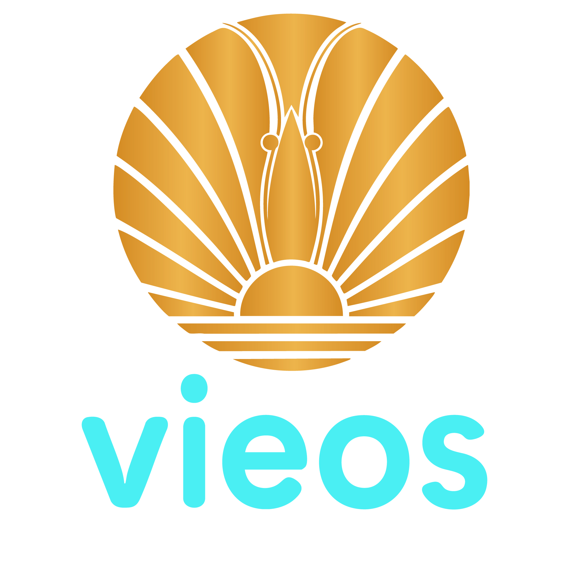 CÔNG TY TNHH VIEOS FOODS