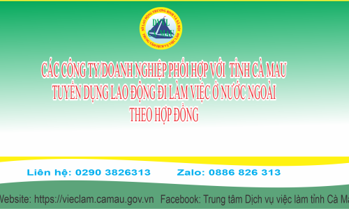 Thông tin doanh nghiệp, công ty tuyển dụng lao động đi làm việc ở nước ngoài năm 2024