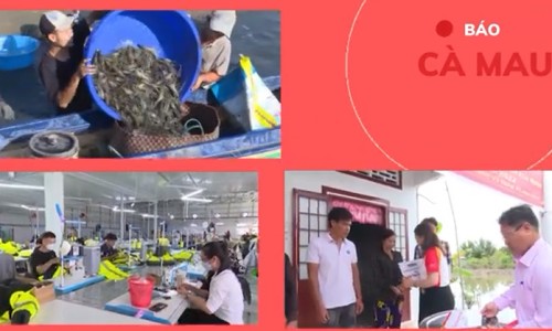Đồng bộ các giải pháp xuất khẩu lao động