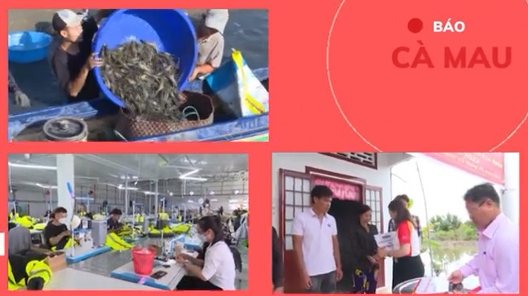 Đồng bộ các giải pháp xuất khẩu lao động