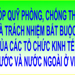 Đóng góp Quỹ phòng, chống thiên tai là trách nhiệm bắt buộc của các tổ chức kinh tế trong nước và nước ngoài ở Việt Nam