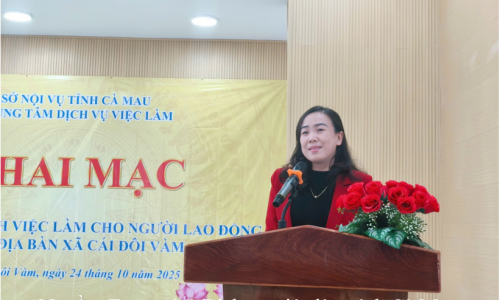 Phiên giao dịch việc làm tại xã Cái Đôi Vàm