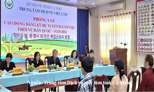 Trung tâm Dịch vụ việc làm tỉnh Cà Mau tiếp tục tổ chức phỏng vấn lao động đăng ký dự tuyển đi làm việc thời vụ tại thành phố MungYeong, Hàn Quốc