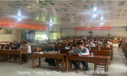Tư vấn, giới thiệu việc làm và tập huấn cộng tác viên tư vấn đưa người lao động đi làm việc ở nước ngoài theo hợp đồng tại xã Đá Bạc