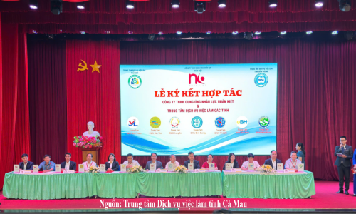Các Trung tâm Dịch vụ việc làm khu vực phía Nam cùng nỗ lực kết nối Cung - Cầu lao động thông qua việc ứng dụng công nghệ số