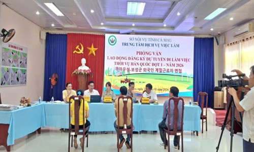 Trung tâm Dịch vụ việc làm tỉnh Cà Mau tổ chức phỏng vấn lao động đăng ký dự tuyển đi làm việc thời vụ tại Hàn Quốc đợt 1-năm 2026