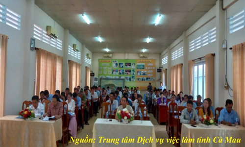Tập huấn nghiệp vụ tuyên tuyền, tư vấn giới thiệu việc làm cho lực lượng cộng tác viên trên địa bàn thành phố Cà Mau